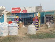 Gulab Sales Darbhanga in Darbhanga - Bharat Seva Setu